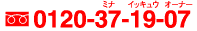 0120-37-19-07